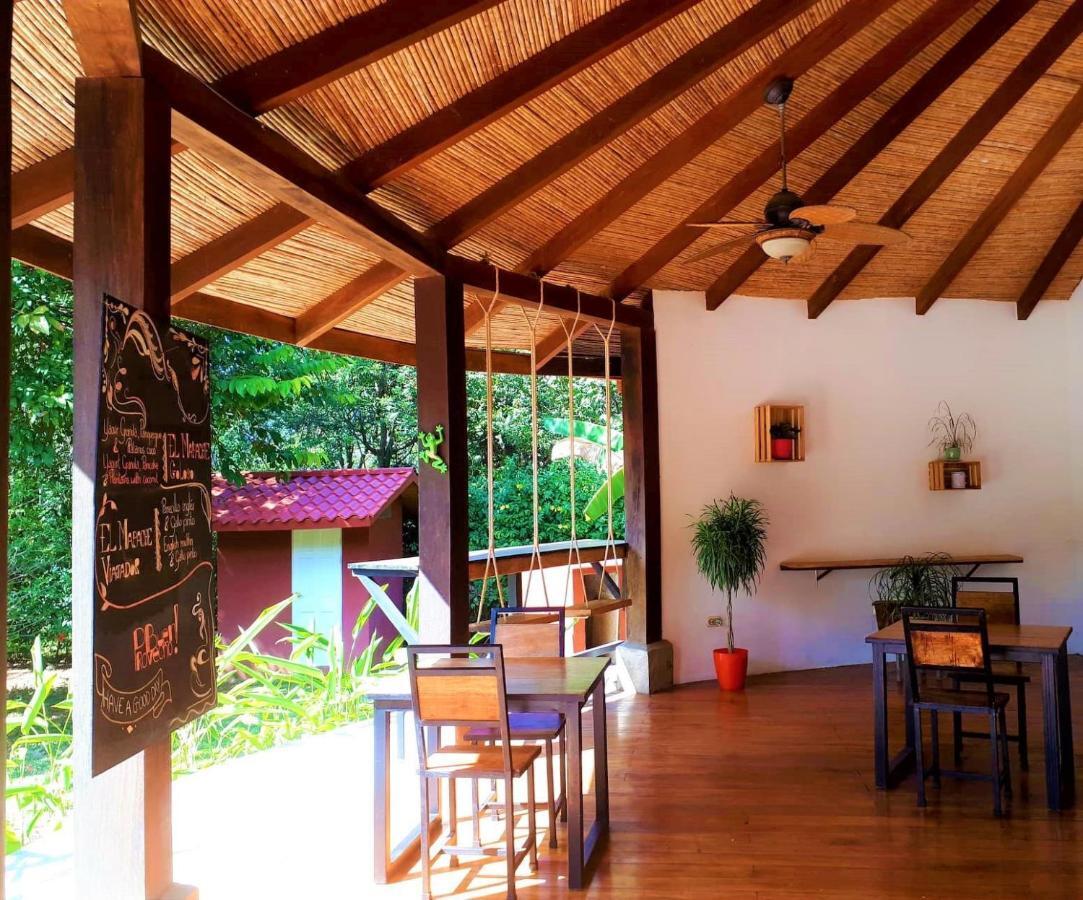 Guest house Casa Mapache
