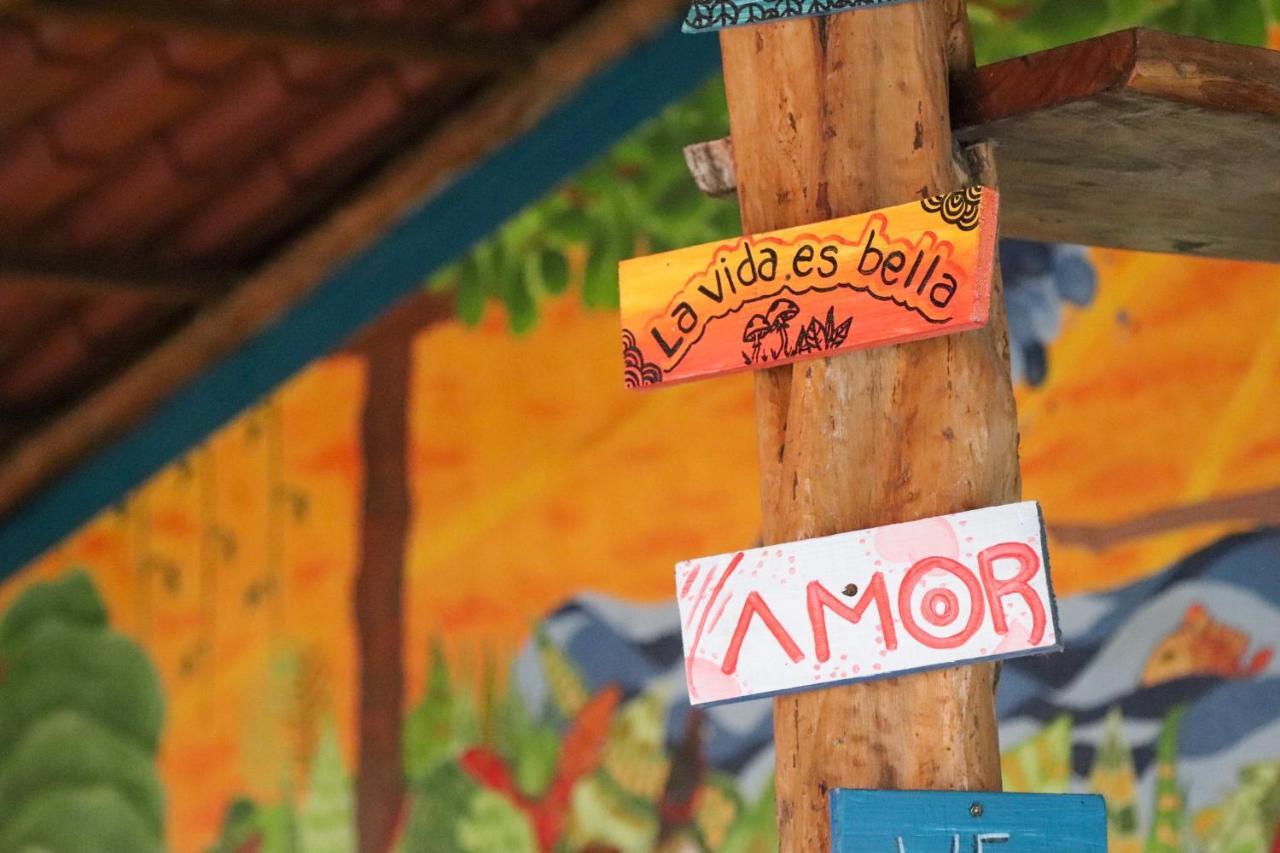 Tamahostel & Glamping *