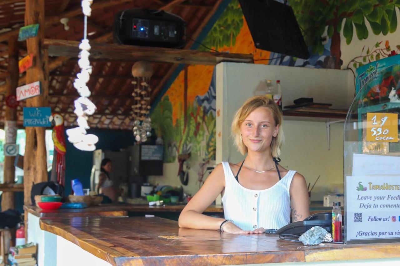 Hostel Tamahostel & Glamping