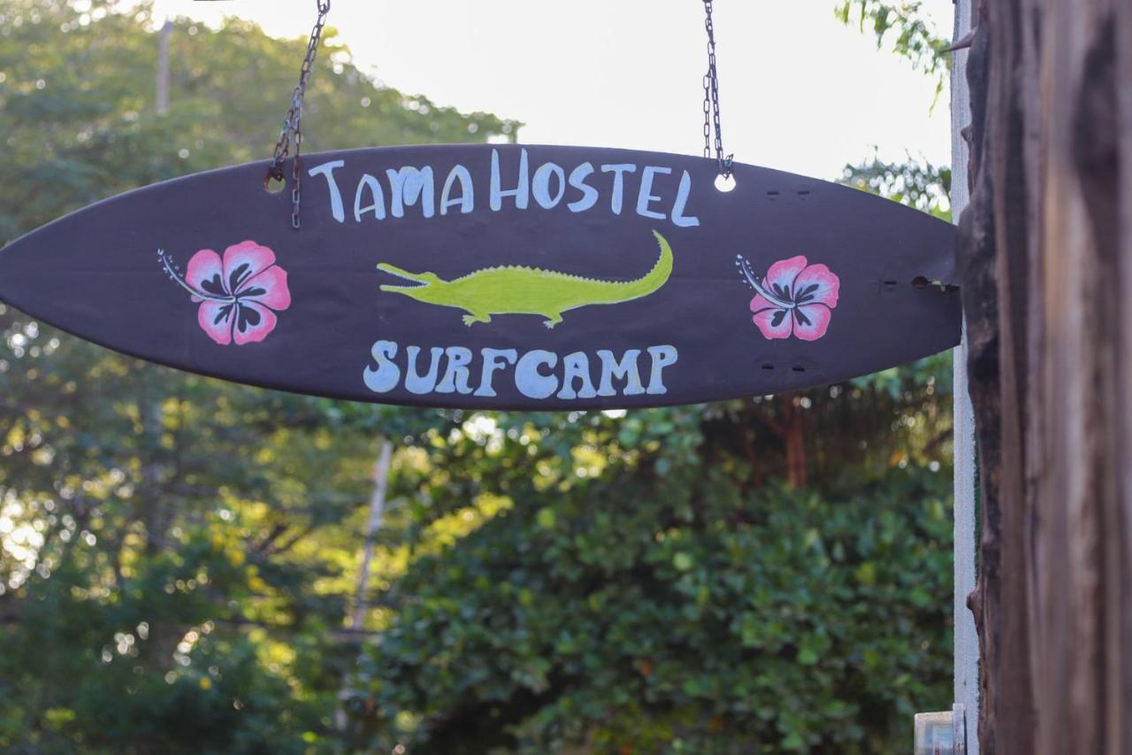 Tamahostel & Glamping Hostel