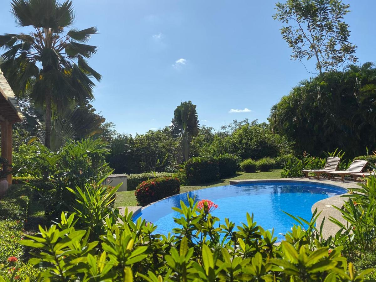 Villa Palm Coast Luxury Esterillos Este