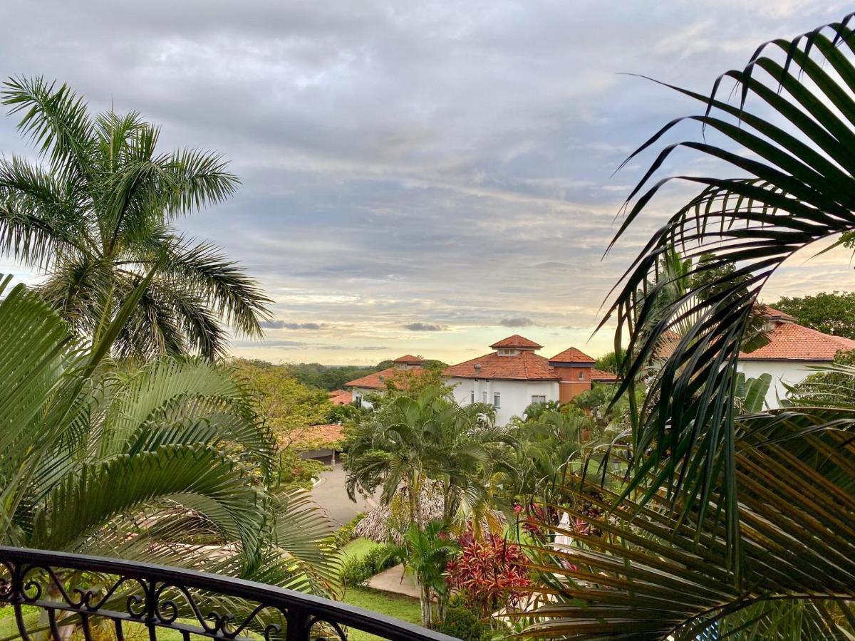 Palm Coast Luxury
