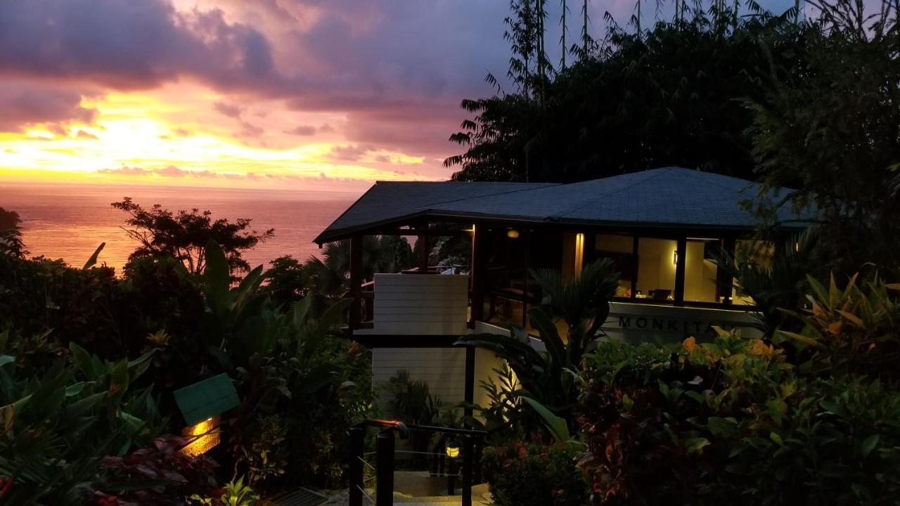 Monkitail @ Tulemar 4* Manuel Antonio