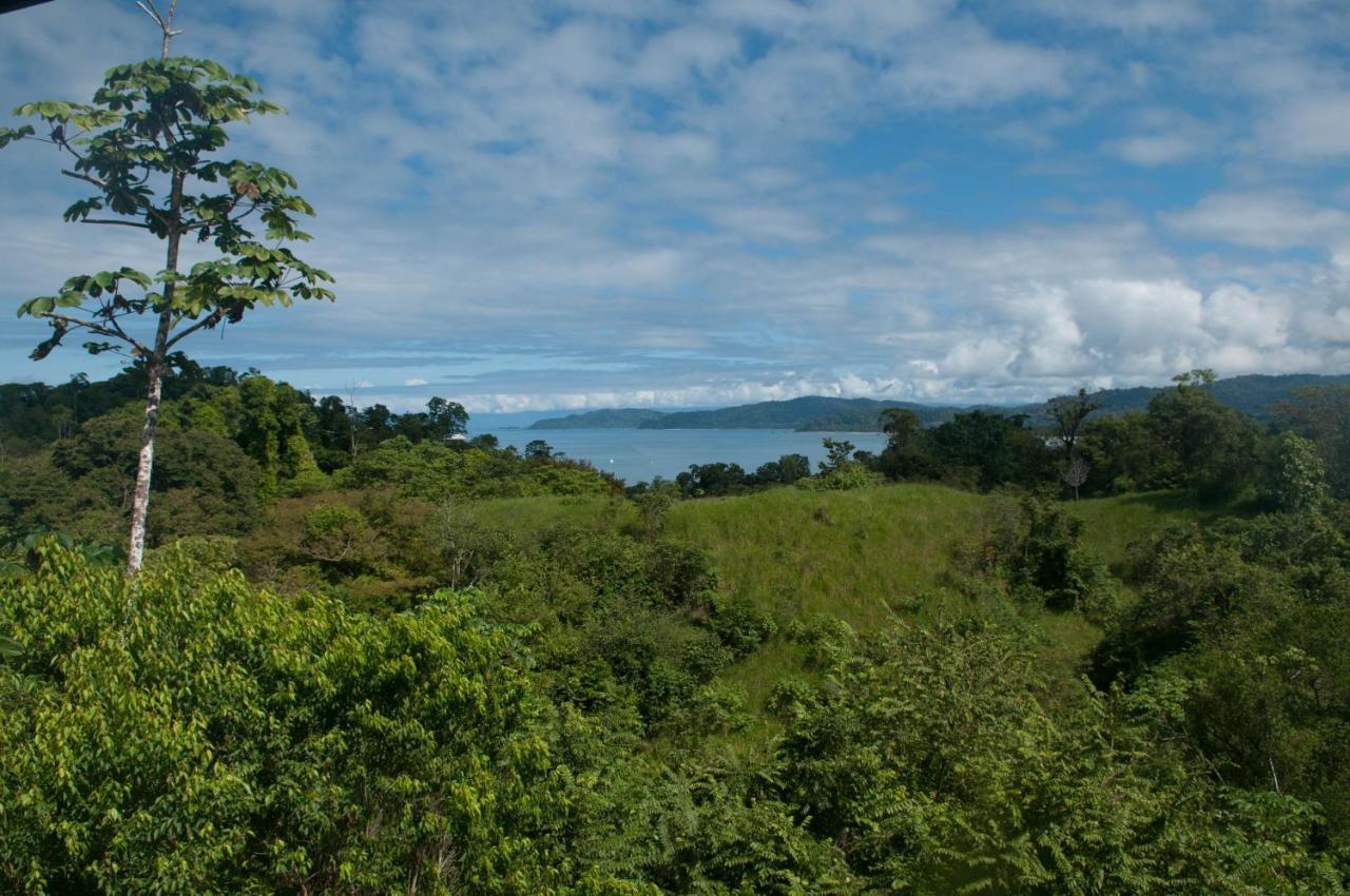 Greenleaf 3* Drake Bay