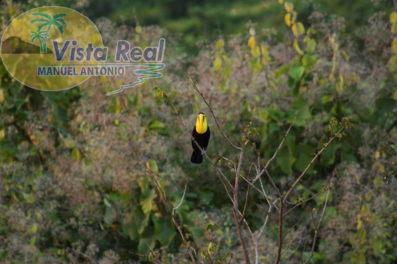 Vista Real