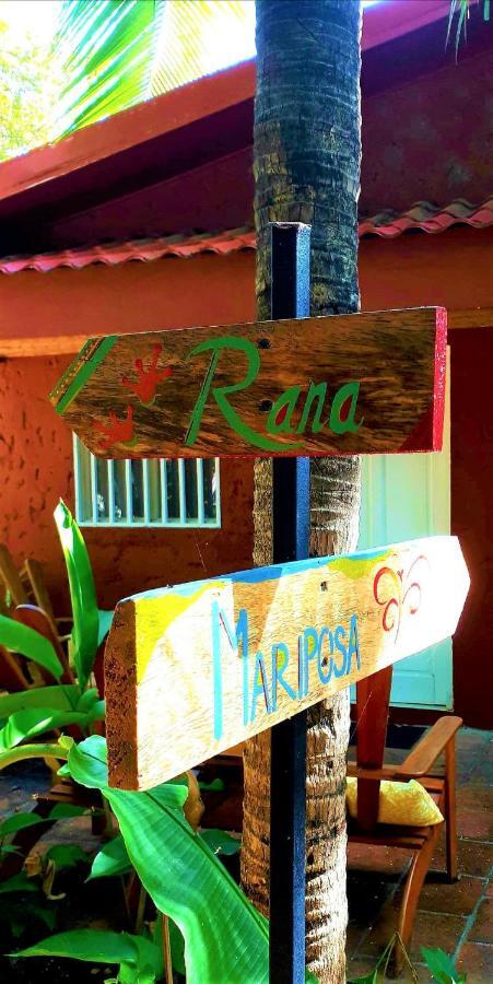 Casa Mapache Guest house