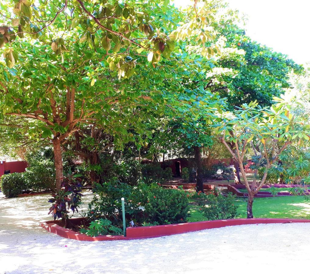 Guest house Casa Mapache Tamarindo