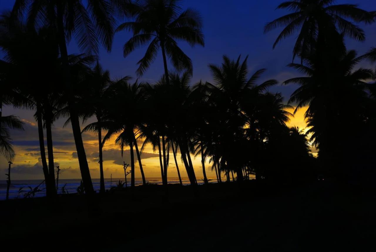Hotel La Isla 3*