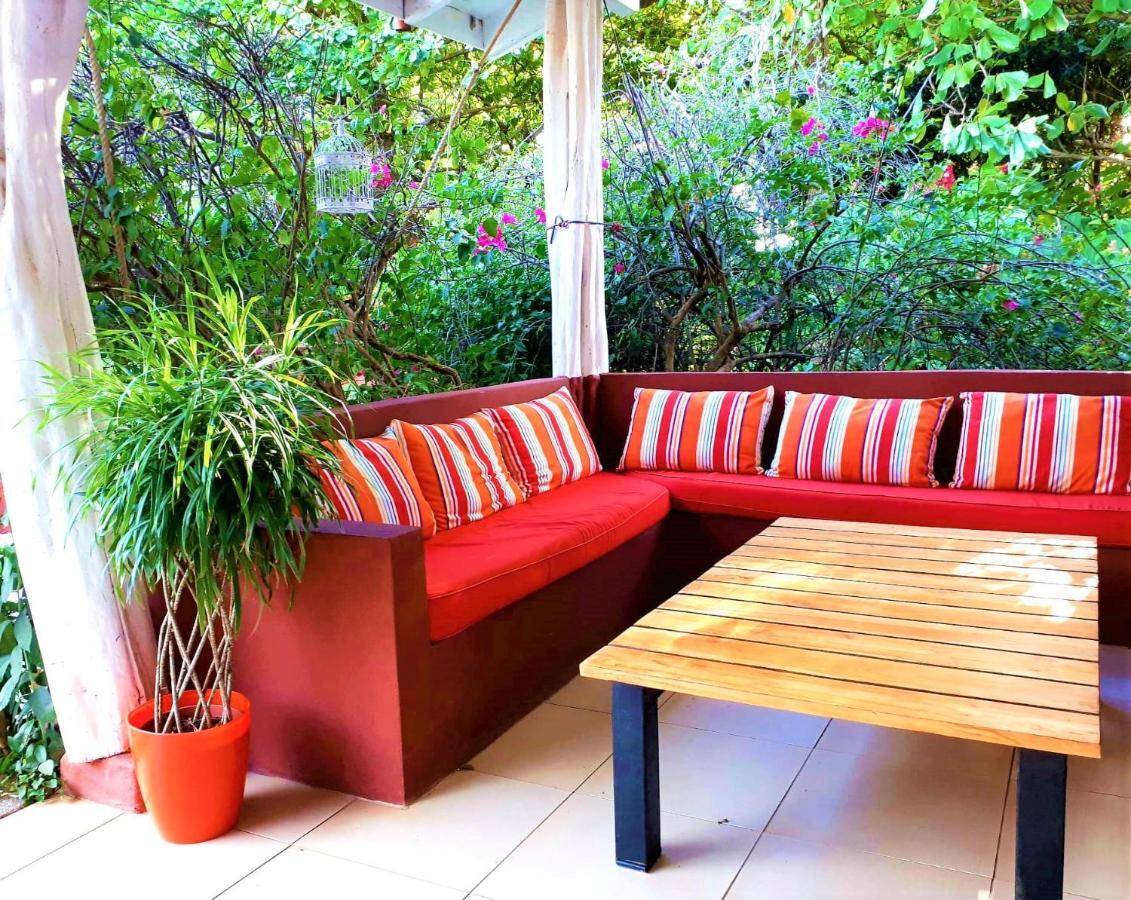 Guest house Casa Mapache 3*