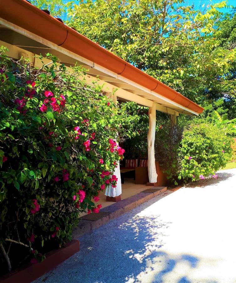 Casa Mapache Guest house