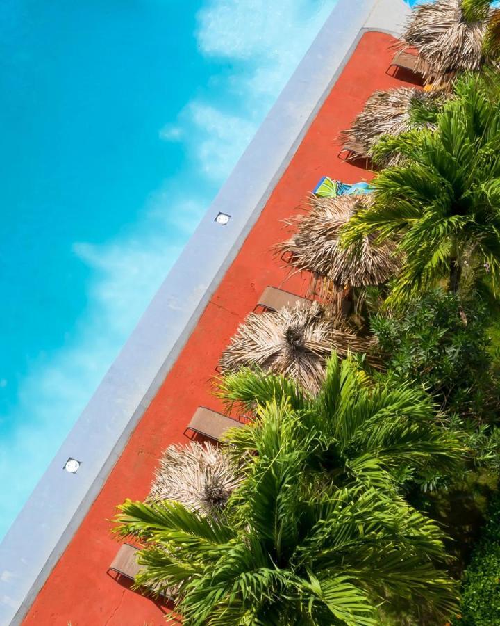 La Isla Parrita