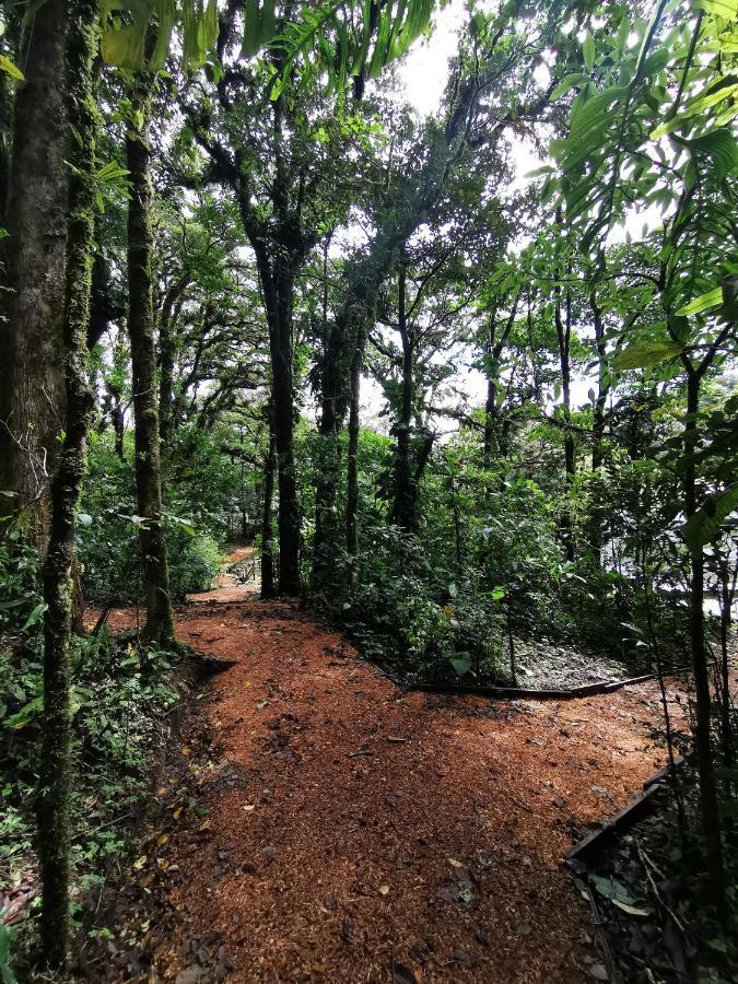 Burbi Hotel Monteverde