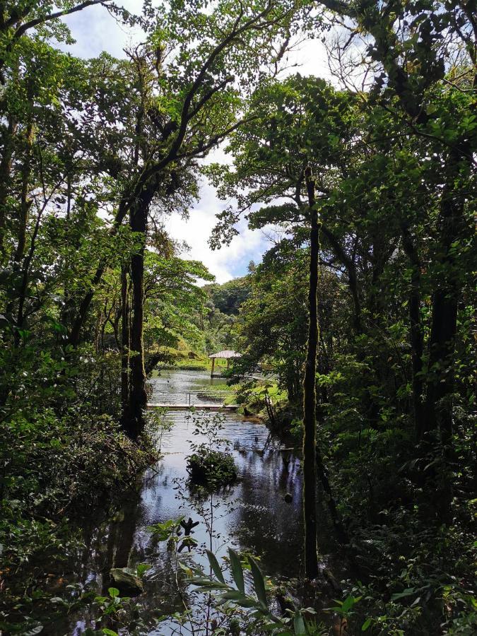 Burbi Hotel Monteverde