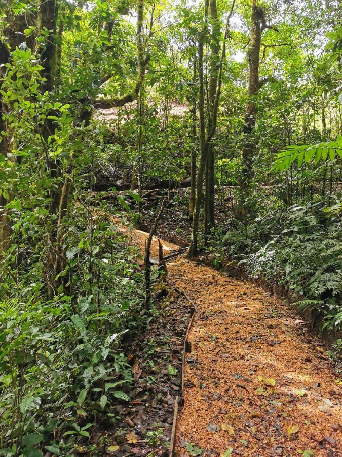 Burbi Hotel Monteverde