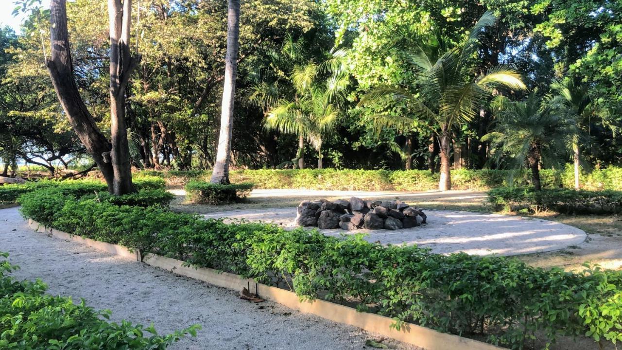 Casa Aura: Beachfront Premium Hostel *