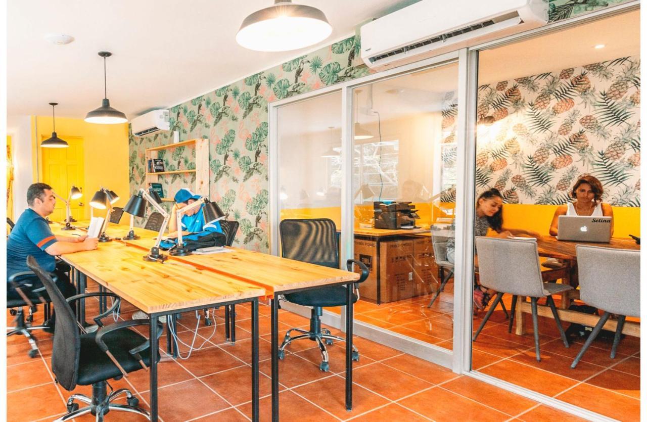 Socialtel Hotel Jaco
