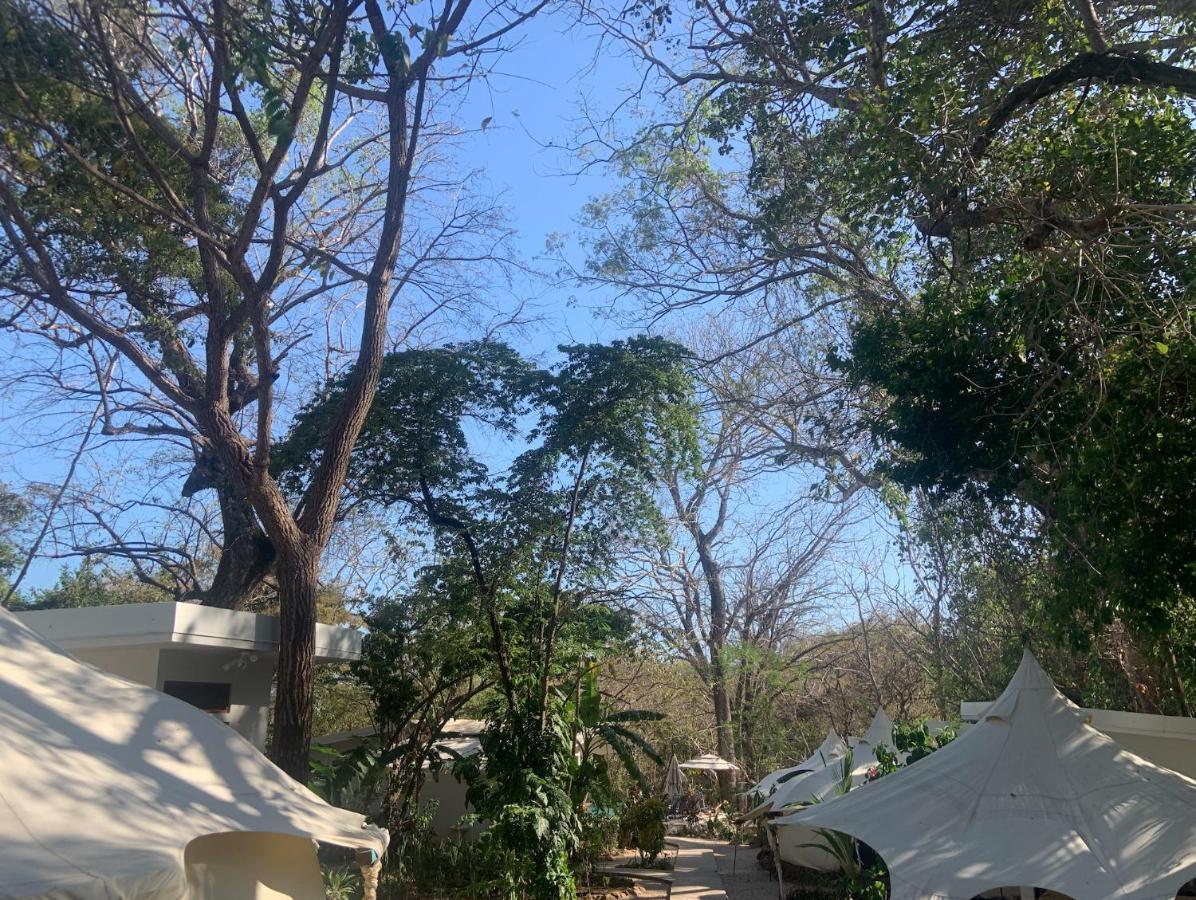 Driftwood Glamping & Boutique Luxury tent 2*