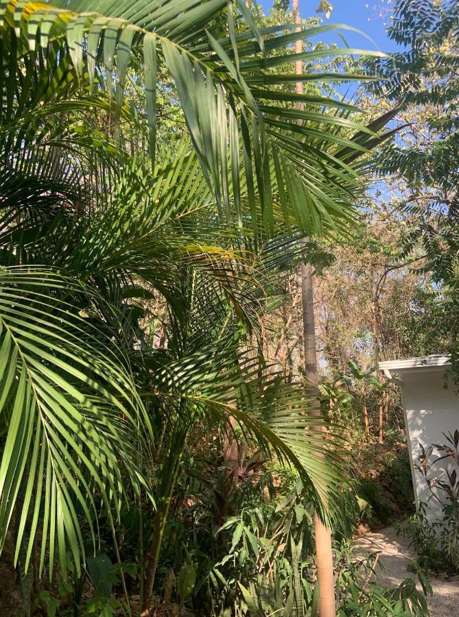 Luxury tent Driftwood Glamping & Boutique Playa Guiones