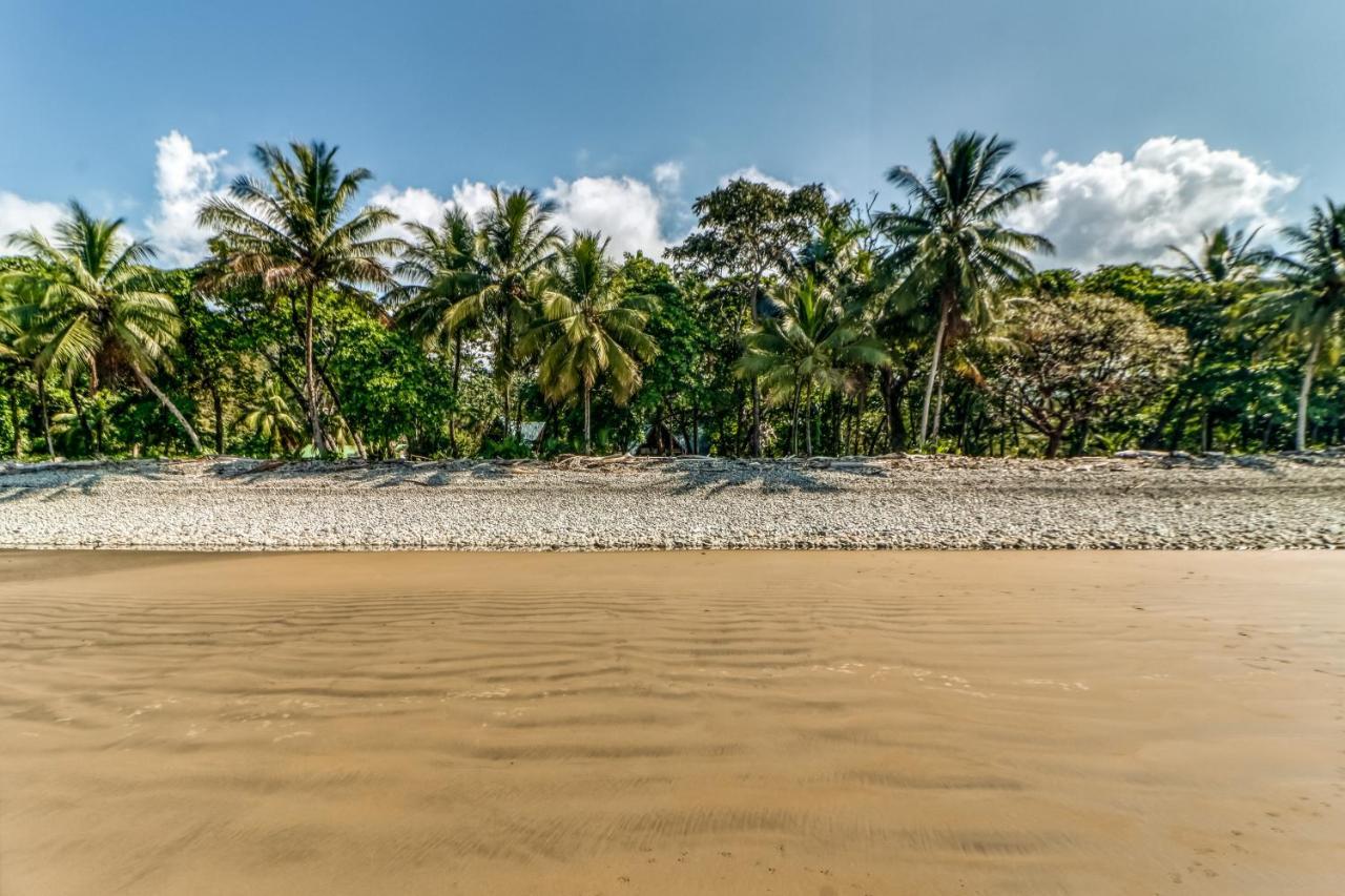 El Ballenato De Bahia Uvita