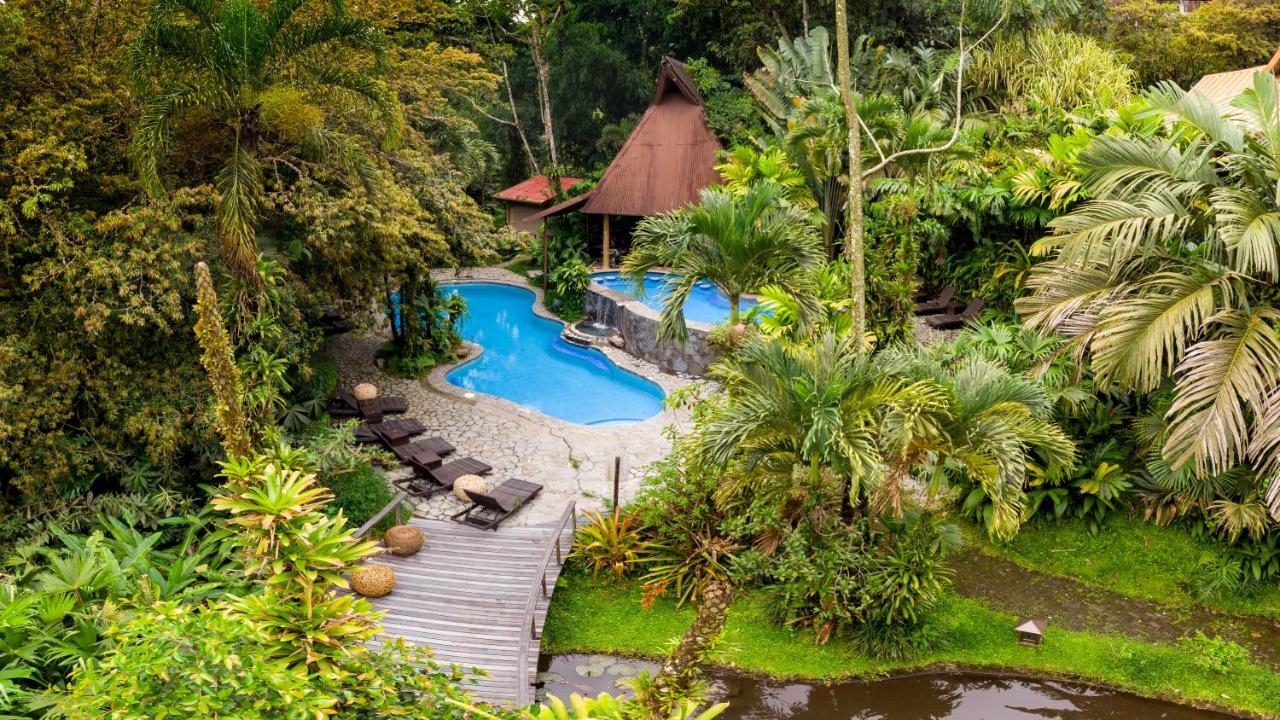 Lost Iguana And La Fortuna