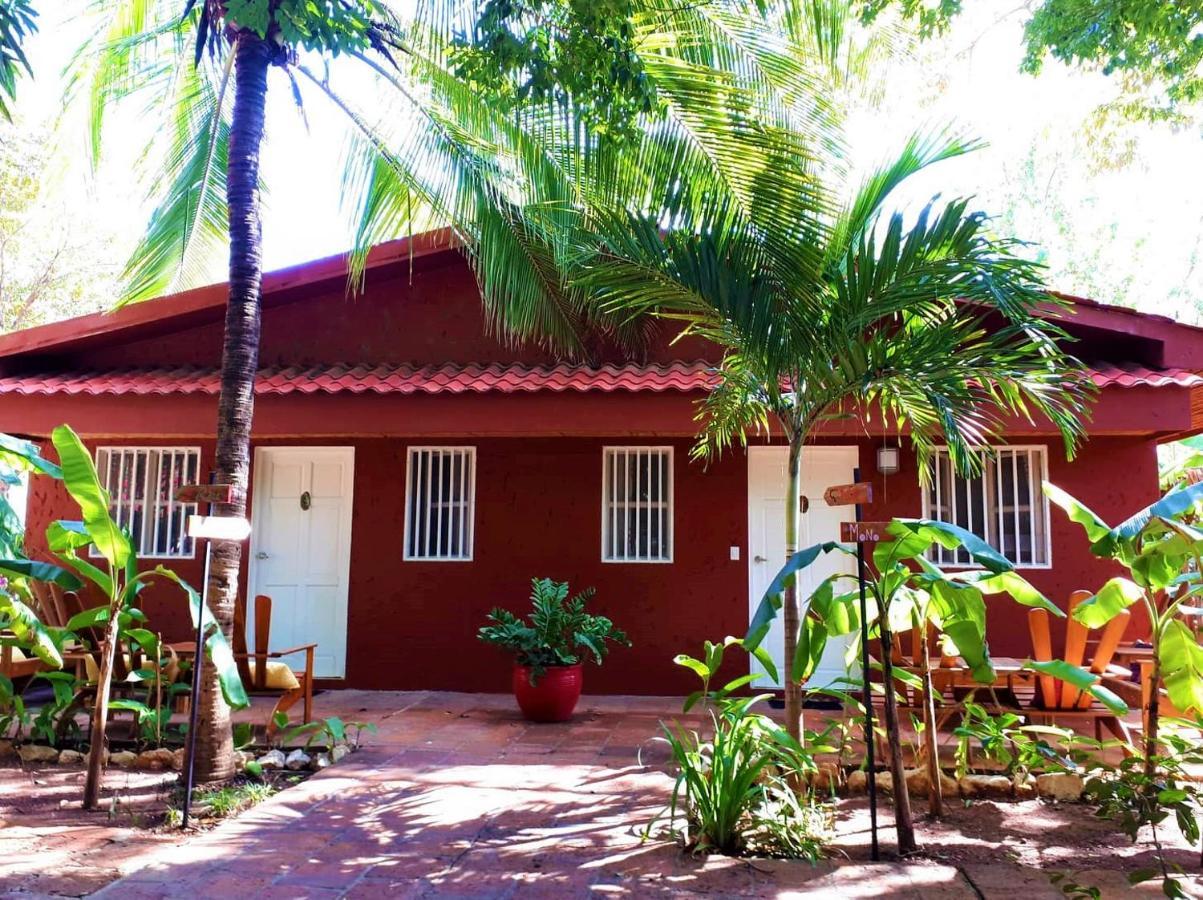 Casa Mapache Tamarindo