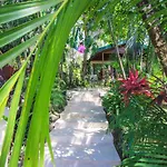 Oasis Mal Pais