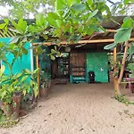 Oasis