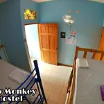 Slow Monkey Hostel