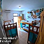 Slow Monkey Hostel