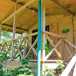 Forest Lodge