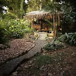 Cafe De La Suerte