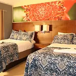 11B Jaco Sol Quadplex