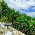 Funky Monkey Lodge