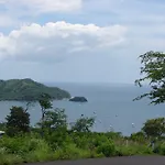Green Forest Of Coco Beach Studios