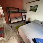 Casa Turtle Bogue