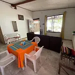 Casa Turtle Bogue