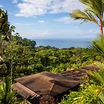 Tiki Villas Rainforest Lodge - Adults Only