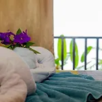Cabana Ara Macao Lodge
