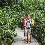 Monteverde Lodge & Gardens By Boeena