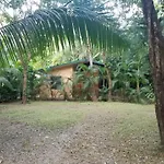 Nosara Paradise Rentals