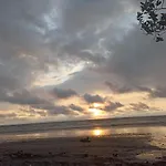 Havana Jaco