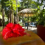 Villas Del Caribe