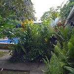La Casona De Tortuguero