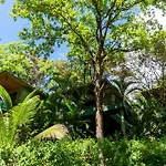 Arbol Verde Villas