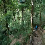 Trogon Lodge