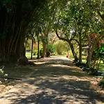 Casa Sofia, A Gem Close To Orosi Thermal Pools!