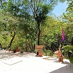 Laurel Jungle & Ocean