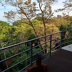 Laurel Jungle & Ocean