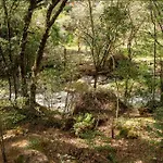 Unicorn Lodge: Direct Riverfront : Unique Experience
