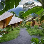 Jungle Gayborhood - Lgbtq Boutique Hotel And Retreat